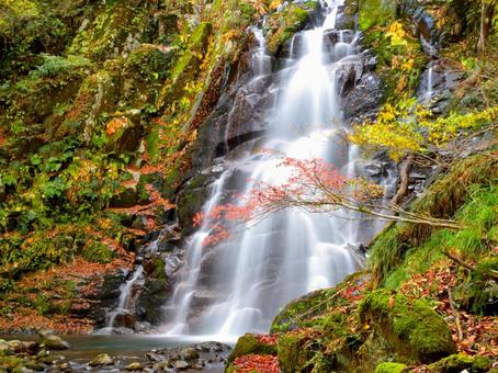 秋の滝1 滝,流れる,紅葉の写真素材