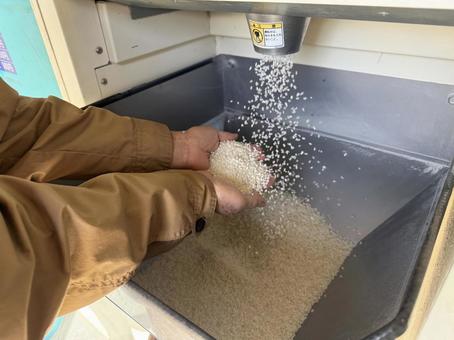 精米したての白米を手に受ける 精米,精米所,白米の写真素材