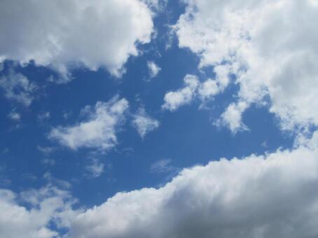 夏空 夏空の写真