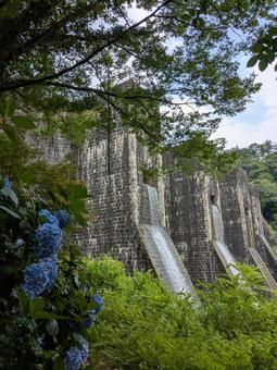 Photo, banbu pond dam, summer, hydrangea, 