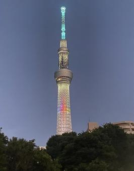 東京スカイツリー ライトアップ タワー 東京スカイツリー ライトアップ タワー スカイツリー,東京スカイツリー,ライトアップスカイツリーの写真素材