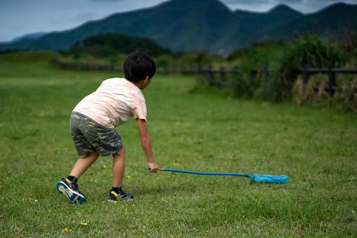 <素材>夏の公園で虫取りをする男の子 <素材>夏の公園で虫取りをする男の子 子供,昆虫採集,虫取りの写真素材
