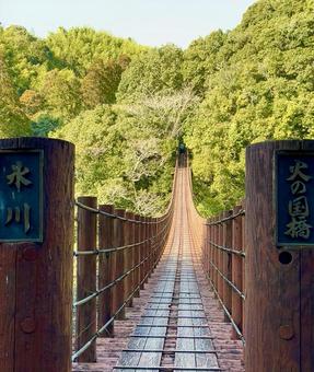 氷川にかかる火の国橋 氷川にかかる火の国橋の写真