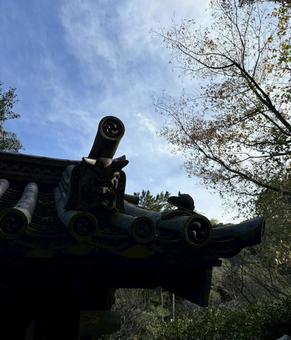 Zipangu 冬,屋外,景色の写真素材