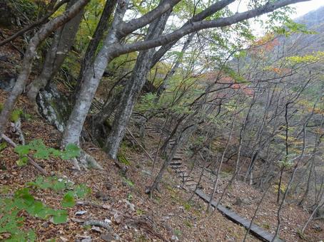 Ryuokyo Gorge (Scenery between Nijimi Bridge and Musasabi Bridge), JPG Ryuokyo Gorge (Scenery between Nijimi Bridge and Musasabi Bridge), JPG