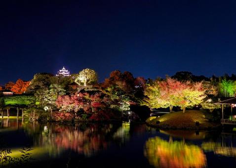 後楽園から見るライトアップされた岡山城 岡山後楽園,岡山城,ライトアップの写真素材