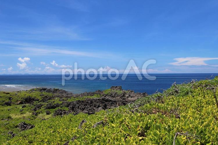 沖縄本島北部の辺戸岬 沖縄,辺戸岬,海の写真素材