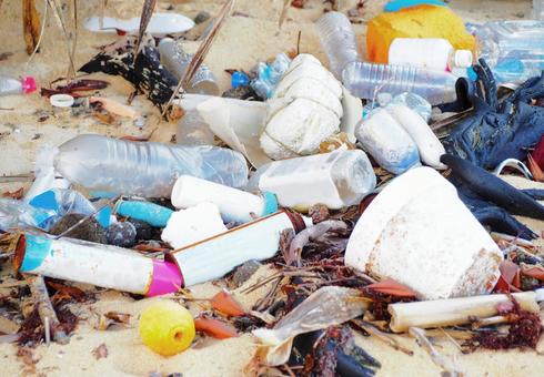 Image of marine debris scattered on the beach, JPG