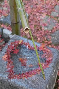 Autumn's Heart, JPG