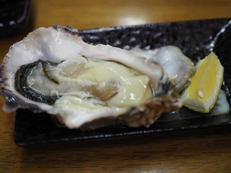 生牡蠣 生牡蠣 生牡蠣,牡蠣,海鮮の写真素材