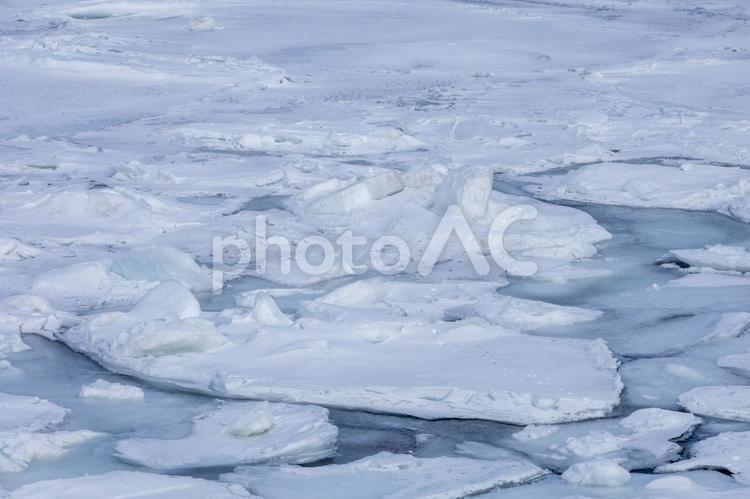 海面を埋め尽くす流氷 流氷,流氷原,知床の写真素材