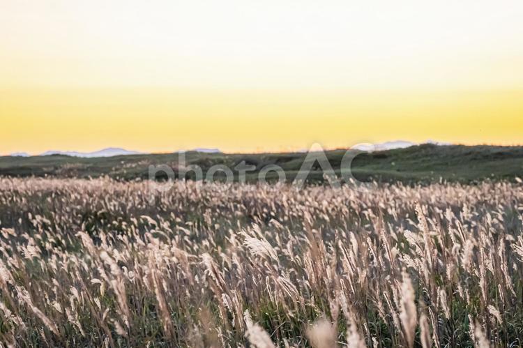 北海道　石狩　はまなすの丘公園の夕暮れ 風景,景色,大地の写真素材