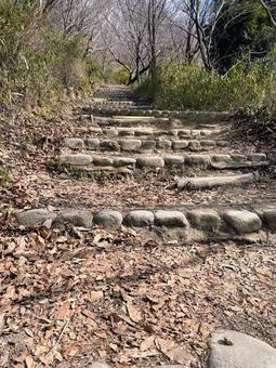 コツコツ登る階段 コツコツ登る階段の写真