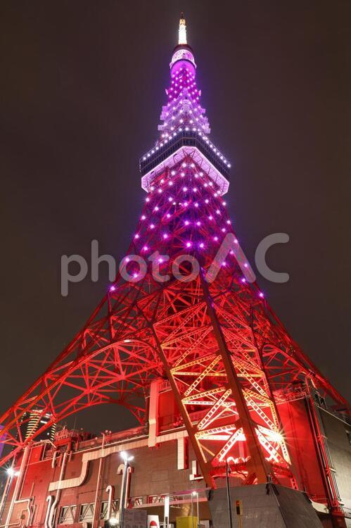 東京タワーの夜景 東京タワー,夜景,日本の風景の写真素材