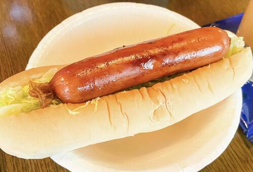 キャンプで作ったホットドッグ ホットドック,キャンプ,bbqの写真素材