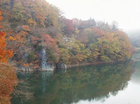 【紅葉写真】美しい紅葉 紅葉,自然,風景の写真素材