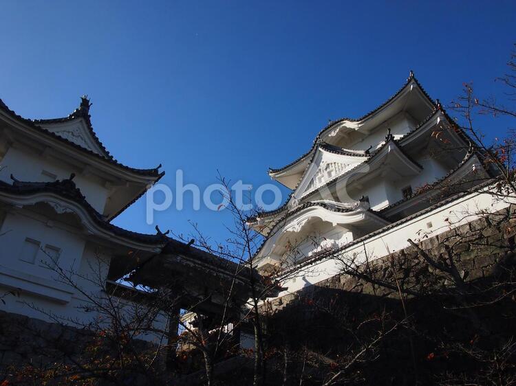青空とお城 お城,伊賀上野城,青空の写真素材