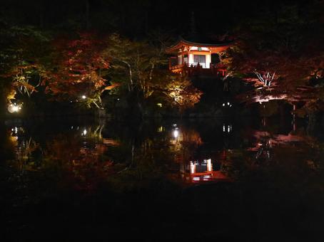 京都 醍醐寺 夜に映る水鏡の紅葉 京都 醍醐寺 夜に映る水鏡の紅葉 京都,kyoto,醍醐寺の写真素材