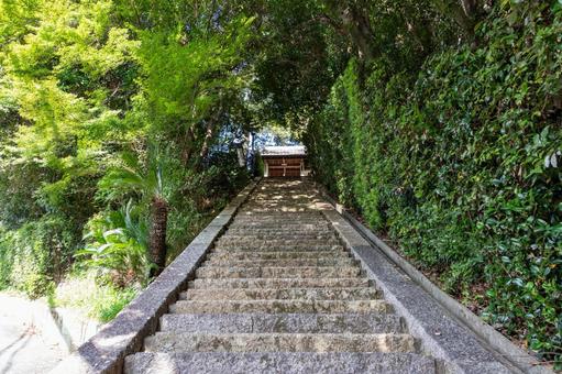 山寺の門まで石段がまっすぐ続く長い参道 門,参道,お寺の写真素材
