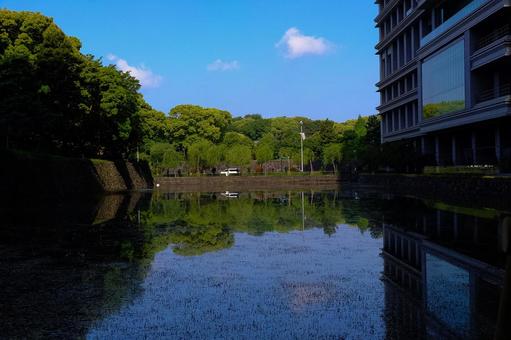 青と緑 青と緑の写真