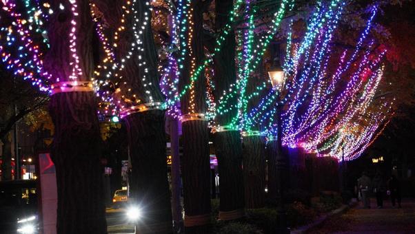 夜景(横浜) 夜景(横浜)の写真