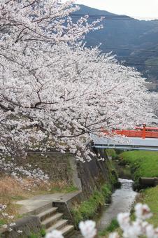 貫南公園 貫南公園 春,北九州,福岡県の写真素材