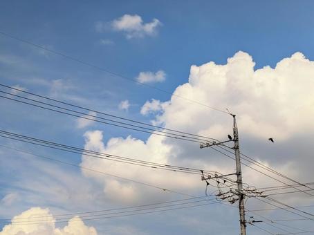 青空と電柱 青空と電柱の写真