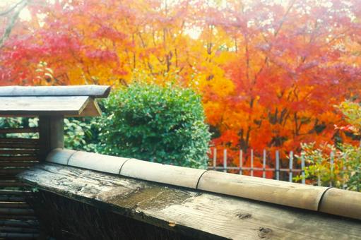 塀と紅葉 塀と紅葉 塀,公園,公共施設の写真素材