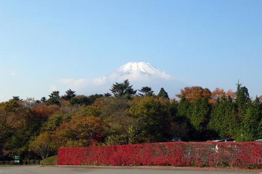 Mount Fuji 02, fuji mountain, autumn, footsteps, JPG