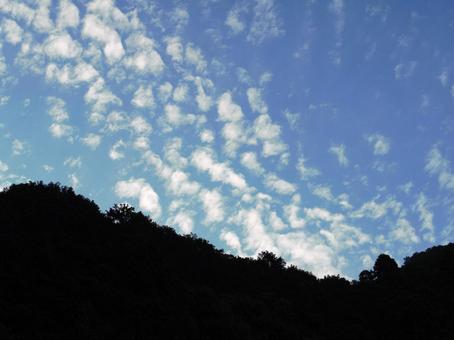 夏空 夏空の写真