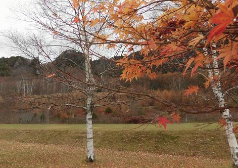 瑞牆山と紅葉 瑞牆山と紅葉の写真