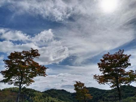 雲から透ける太陽 秋,雲,空の写真素材