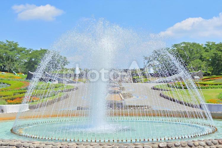 みちのく杜の湖畔公園 公園,噴水,水の写真素材