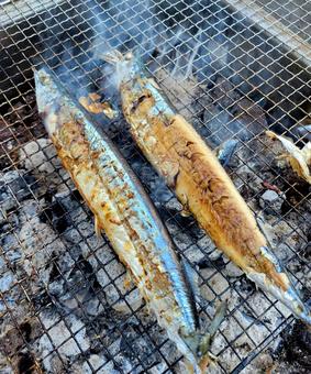 秋刀魚網焼き 秋刀魚網焼きの写真