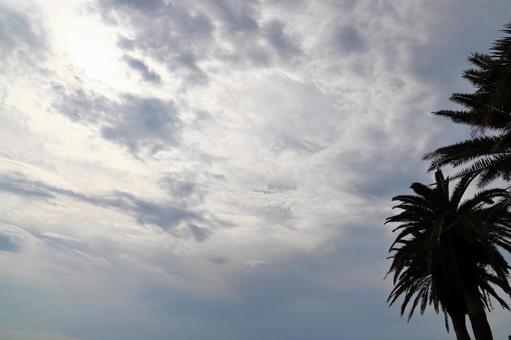雲の多い空 太陽 ヤシの木 雲の多い空 太陽 ヤシの木の写真