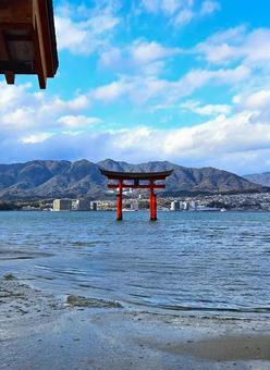 厳島神社 大鳥居 厳島神社 大鳥居 厳島神社,大鳥居,宮島の写真素材