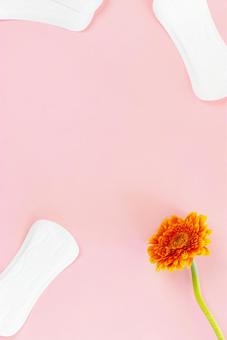 生理用ナプキンと花 生理,月経,生理用品の写真素材