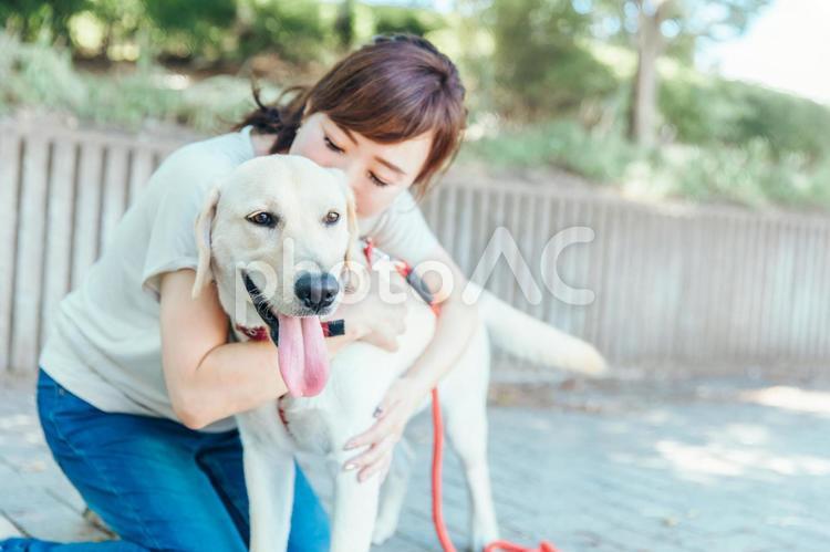 犬の散歩をする女性 犬,犬の散歩,散歩の写真素材