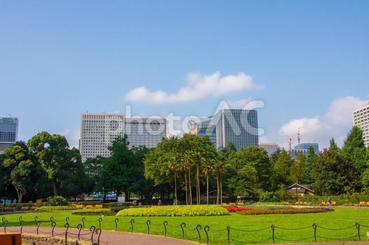 真夏の日比谷公園 日比谷公園,真夏,日比谷の写真素材