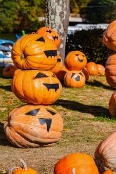 北海道　大沼公園秋の風景の写真