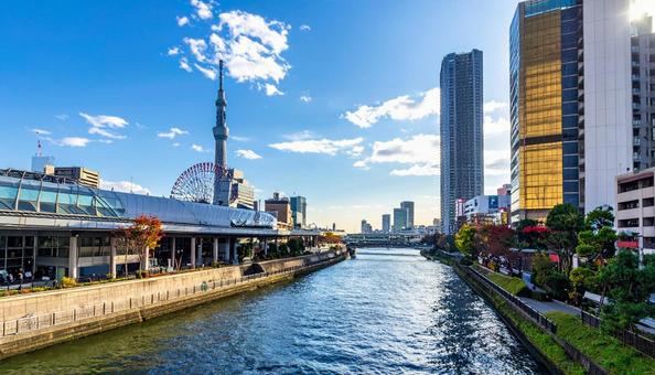 都会のランドマークタワーの写真