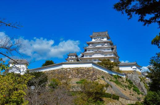 そびえる姫路城の天守閣 そびえる姫路城の天守閣 姫路城,天守閣,建物の写真素材