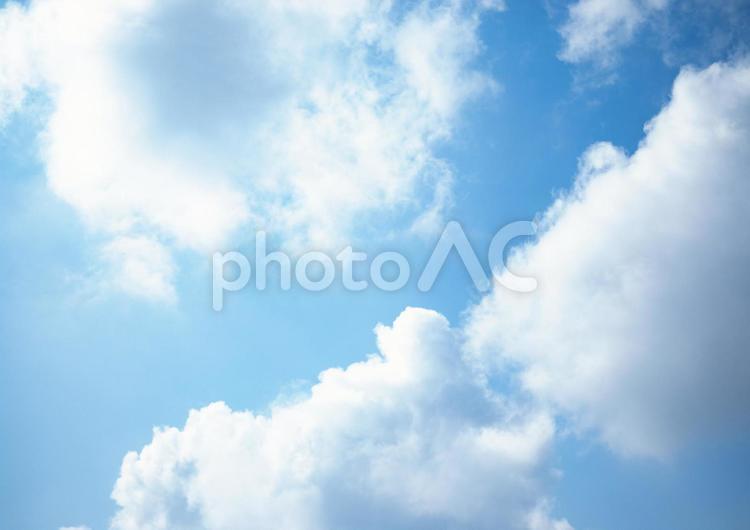 初夏の朝　青空2 空,青空,雲の写真素材