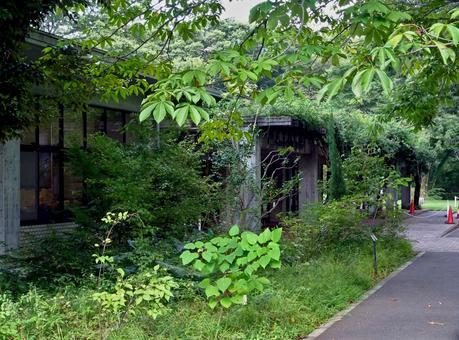 神代植物公園植物多様性センター 神代植物公園植物多様性センター 神代植物公園,植物多様性センター,東京都調布市深大寺北町の写真素材