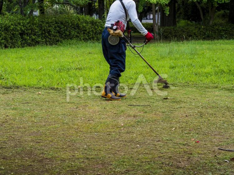 公園の草を刈る 公園,草刈り,夏草の写真素材