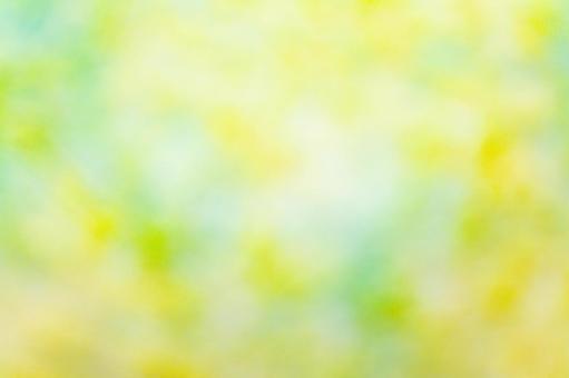 緑と黄色が混ざる柔光グラデーション グラデーション,背景,テクスチャの写真素材