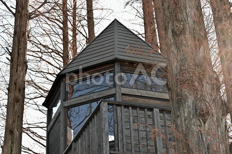 枯れ木に囲まれた山小屋 山小屋,ロッジ,木製の写真素材