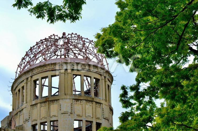 原爆ドームと新緑 原爆ドーム,木,緑の葉の写真素材