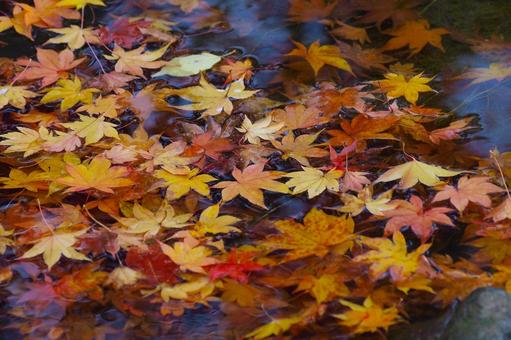 カラフルな水面 カラフルな水面の写真