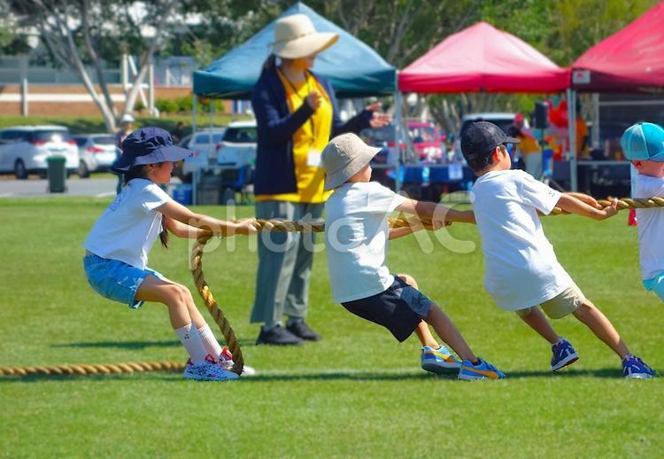 小学生の綱引き 綱引き,運動会,体育祭の写真素材